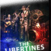 The Libertines Live DVD