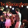 The Cucumbers Live At Acme Underground