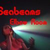 Seabeams Featuring Asako At The Elbow Room NYC for OnlineTV