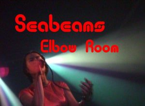 Seabeams Featuring Asako At The Elbow Room NYC for OnlineTV