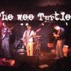 The Wee Turtles CMJ band shot for OnlineTV