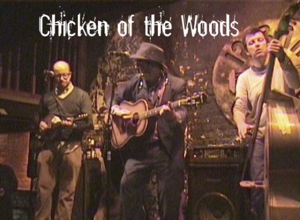 Chicken of the Woods at 12 Bar Club