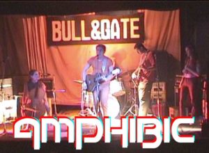 Amphibic live at Bull and Gate for OnlineTV by Rick Siegel