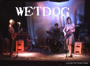 Wet Dog Live at Bull & Gate, London for OnlineTV by Rick Siegel