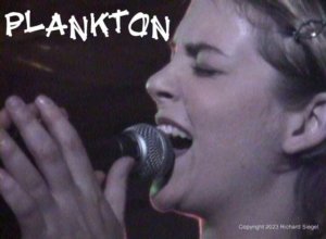 Plankton Live at Spiral Lounge, NYC for OnlineTV by Rick Siegel